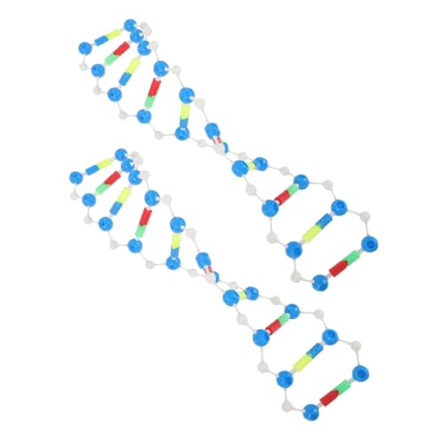 Abaodam 2st DNA-Modell Biologie-Struktur-Tool DNA-testkit DNA-Tests DNA-lernkit Lehrmittel Zur Popularisierung Der Wissenschaft Gene-lernspielzeug Doppelhelix-Modell DNA-lehrmodell Plastik von Abaodam