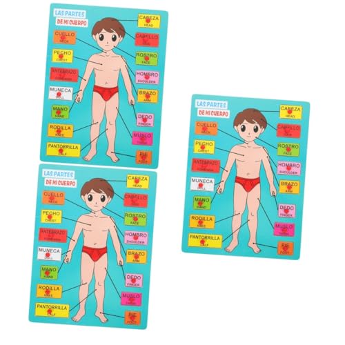 Abaodam 3 Sätze Spanisches Rätsel Anatomie Spielen Mein Körperrätsel für Kleinkinder Anatomie-Puzzle Körperteile Puzzle Holz Puzzle Spielzeug Lernspielzeug pädagogisches Puzzlespielzeug von Abaodam