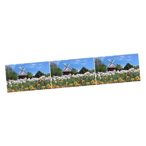 Abaodam 3000 Teile 1 Papierpuzzle Landschaft Modernes Tulpenpuzzle Erwachsenenpuzzle Lernpuzzle Windmühle Erwachsenenpuzzle von Abaodam