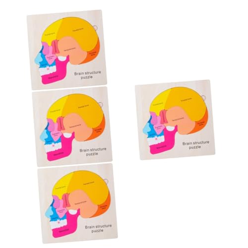 Abaodam 4 Sätze Gehirnstruktur-Puzzle Körper-peg-Puzzle Montessori-rätsel Anatomie-rätsel Lernspielzeug Für Den Menschlichen Körper Menschlicher Körper Puzzle Für Kinder Gehirnrätsel Holz von Abaodam