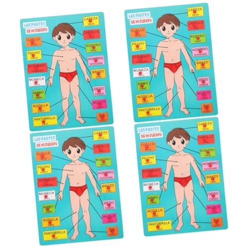 Abaodam 4 Sätze Spanisches Rätsel Modellpuzzle des Menschlichen Körpers Anatomie Spielen Menschliche Körperteile Spielzeug Menschlicher Körper Puzzle Für Kinder Körperteile Puzzle Holz von Abaodam