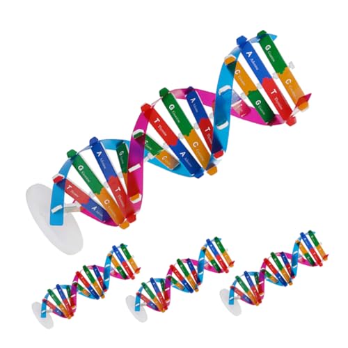 Abaodam 4 Stück Teiliges DNA Modell Doppelhelix Struktur Wissenschaftliches Lernspielzeug für Schule und Labor DIY Molekulares Modell Biologisches Bildungswerkzeug für Schüler Abaodam 4 Stück Teiliges DNA Modell Doppelhelix Struktur Wissenschaftliches Lernspielzeug für Schule und Labor DIY Molekulares Modell Biologisches Bildungswerkzeug für Schüler von Abaodam