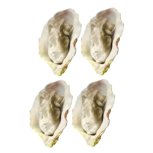 Abaodam 4 Stück Teiliges Seafood Deko mit Realistischen Austernmodellen Künstliche Muscheln für Küchen Accessoires Party Food Display Leichtes Tragbares Food Prop für Restaurant und Abaodam 4 Stück Teiliges Seafood Deko mit Realistischen Austernmodellen Künstliche Muscheln für Küchen Accessoires Party Food Display Leichtes Tragbares Food Prop für Restaurant und von Abaodam