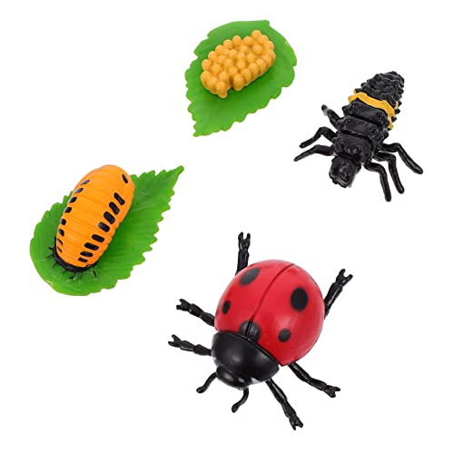Abaodam 4Stücke Teiliges Insektenwachstumszyklus Modell für Lustige Marienkäfer Figuren Dekorieren für Lernspiele und Kreative Rollenspiele Abaodam 4Stücke Teiliges Insektenwachstumszyklus Modell für Lustige Marienkäfer Figuren Dekorieren für Lernspiele und Kreative Rollenspiele von Abaodam