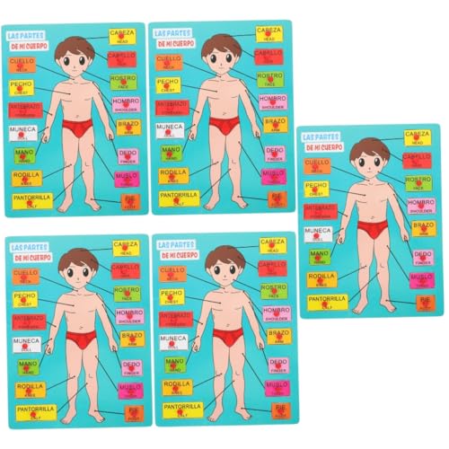 Abaodam 5 Sätze Spanisches Rätsel Kindererkennungsspielzeug Mein Körperrätsel Für Kleinkinder Anatomie-Puzzle Anzieh-steckpuzzle Kognitives Werkzeug Für Den Körper Von Kindern Holz von Abaodam