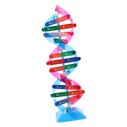 Abaodam DNA Doppelhelix Modell Bausatz Stabiles Plastik Genstruktur Lernspielzeug Interaktives Wissenschaftliches Gen-Modell für Schüler und Biologieunterricht für Vererbungslehre Projekte Abaodam DNA Doppelhelix Modell Bausatz Stabiles Plastik Genstruktur Lernspielzeug Interaktives Wissenschaftliches Gen-Modell für Schüler und Biologieunterricht für Vererbungslehre Projekte von Abaodam