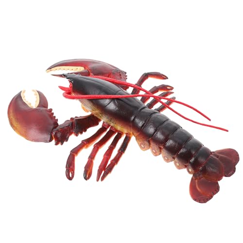 Abaodam Hummer-Modell-Ornament Nautische Strandverzierung Meerestierspielzeug Für Kinder Unterwassertierspielzeug Wissenschaft Kognitives Spielzeug Meeresfrüchte-Modell Hummer-Statue PVC von Abaodam