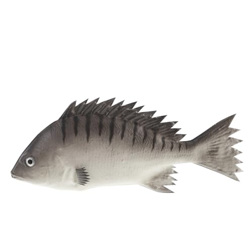 Abaodam simulierte Fischornamente Lernspielzeug für Kinder Fisch Dekoration kinderspielzeug Kinder Kunststoff Tier Modell realistisches Fischmodell Fisch Figur Tiermodell Pu Grey von Abaodam