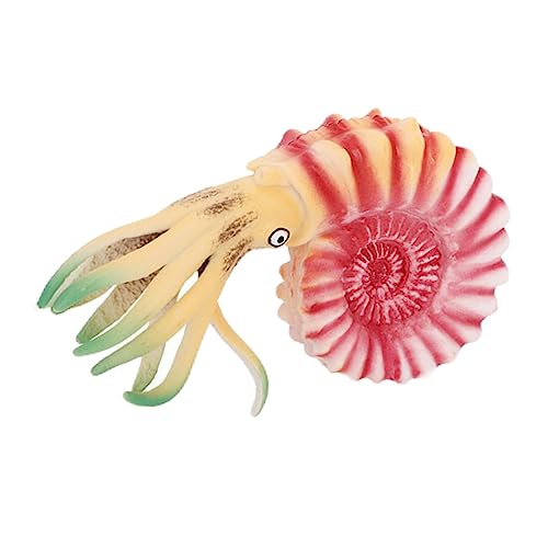 Nautilus Modell aus Kunststoff Realistisches Meereslebewesen Deko für Lernspielzeug für Tierarten und Naturgeschichte Detailgetreue Nachbildung für Aquarium oder Spielzeugfigur Nautilus Modell aus Kunststoff Realistisches Meereslebewesen Deko für Lernspielzeug für Tierarten und Naturgeschichte Detailgetreue Nachbildung für Aquarium oder Spielzeugfigur von Abaodam