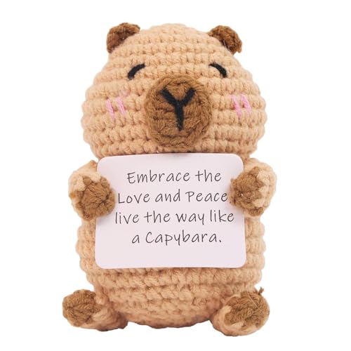 Aceirropy Positiv Gehäkeltes Capybara, Lustiges Handgemachtes Gestricktes Capybara, Emotional Unterstützendes Plüschtier Mit Positiver Karte, Gestrickte Capybara-Puppe, Lustig Gehäkelt, Inspirierend von Aceirropy