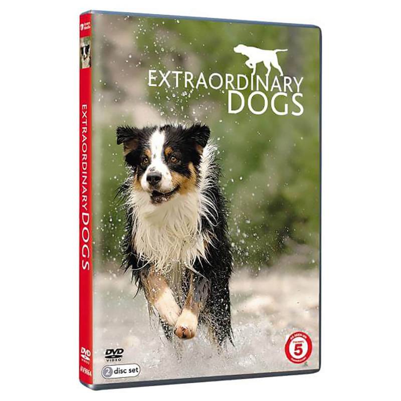 Extraordinary Dogs von Acorn Media