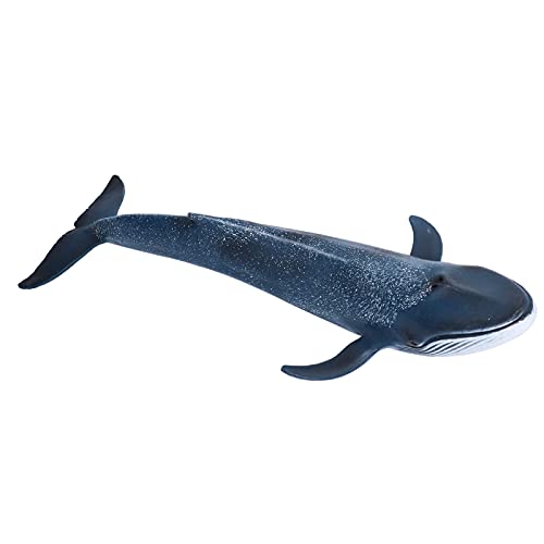 Acouto Blue Whale Figur Spielzeug Bildung Mini Ozean Tier Marine Figur Modell für aus Umwelt Blau Wale Toysea Tier Findozean Tier Figurinemarine Modellmarine von Acouto