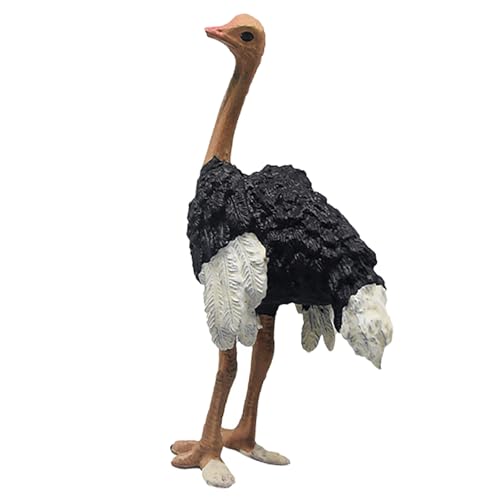 Acouto Realistische, Lebensechte Straußfigur, Lernspielzeug für, Wildtiermodell für und Mädchen, PVC von Acouto