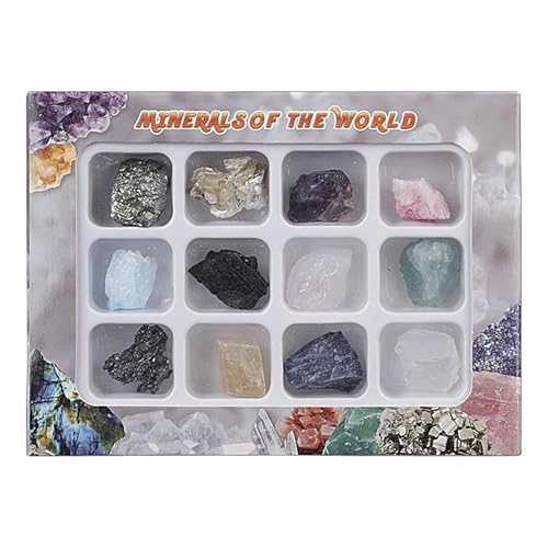 Acunny Fels- und Mineral -Kit, Kristallmineralerz -Exemplar | Mineralerer -Fels -Proben -Box,Multi-Purple-Sammelwerkzeug für, Mädchen, Kinder, Kinder, Teenager von Acunny