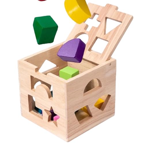 Acunny Puzzle-Form-passendes Spielzeug, Form-Holz-Puzzle-Spielzeug - Holzsortierwürfelform-Sortierspielzeug,Klassisches Feinmotorik-Lernspielzeug mit 13 Formen für von Acunny