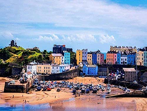 Adoff 1000 Piece Puzzle Tenby Pembrokeshire Wale Puzzle Jumbo Spiele Erwachsene und Kinder unmögliche sehr schwierige-Paper von Adoff