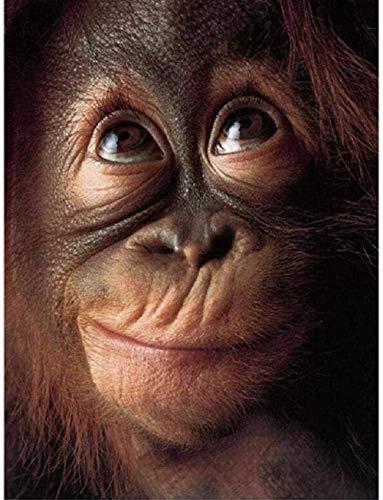 Adoff Holz Puzzle 1000 Orangutan Strange Expression Puzzle für Kinder die ganze Familie Teile Jumbo Spiele-Wooden von Adoff