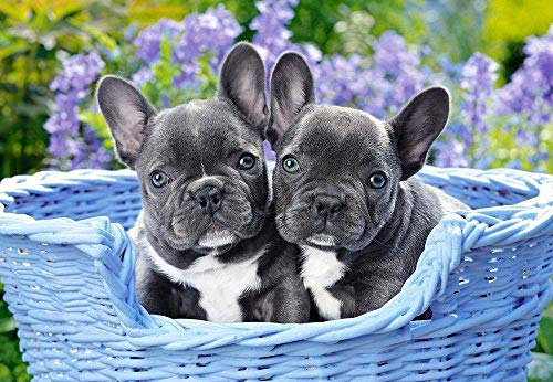 Adoff Puzzle 1000 Teile French Bulldog Puppie Impossible Puzzle geschicklichkeitsspiel für Erwachsene Kinder geschicklichkeitsspiel für die-Paper von Adoff