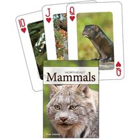 Mammals of the Northeast Playing Cards von Adventure Publications