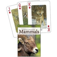 Mammals of the Rocky Mountains Playing Cards von Adventure Publications