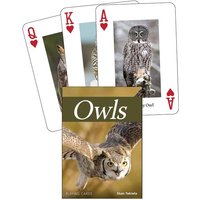 Owls Playing Cards von Adventure Publications