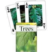 Trees of the Northeast Playing Cards von Adventure Publications