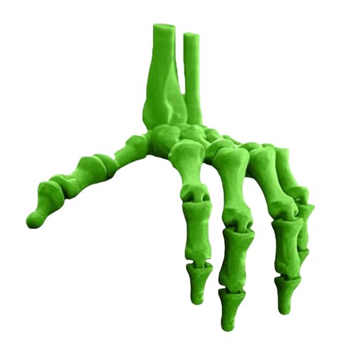 Afurl 3D-bewegliche Finger | Gelenkige Fingerverlängerungen | Hexen-Fingerverlängerungen, Skelett-Knochen-Zahnrad, 3D-gedruckt mit flexiblen Gelenken, Halloween-Zahnrad-Finger zur Demonstration von Afurl