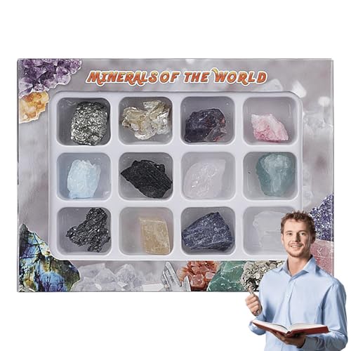 Aibyks Rock and Mineral Collection Box, Rock Collection Box für Kinder,Crystal Ore Stone Exemplar Kit | Bright Colors Geology Edelstein Set für Kindergarten, Zuhause, Schule, Kindergarten von Aibyks