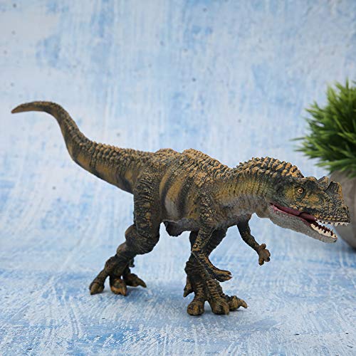 Akozon Frühpädagogisches Simulations-Ceratosaurus-Spielzeug: Ungiftiges Tiermodell Heimdekoration von Akozon