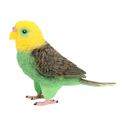 Alasum Realistisches Wellensittich Modell aus Kunststoff Lebensechte Papageienfigur Pädagogisches Kinderspielzeug Stabile Dekoration für Schreibtisch und Lernzwecke Langlebig und Alasum Realistisches Wellensittich Modell aus Kunststoff Lebensechte Papageienfigur Pädagogisches Kinderspielzeug Stabile Dekoration für Schreibtisch und Lernzwecke Langlebig und von Alasum