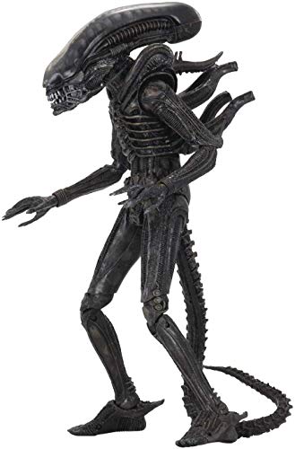 Alien 51705 7" Wave 3 Actionfigur Xenomorph von Alien