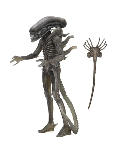 Alien NECA Xenomorph 40th Anniversary, H857800 von Alien