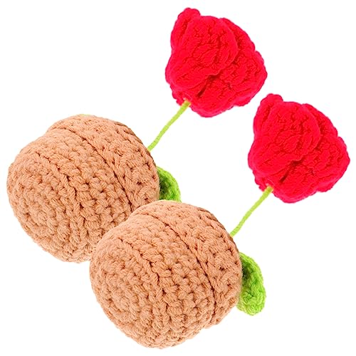 Alipis 2St Gewebte kleine Topfpflanzen Rosenstrauß Dekoration Fake Potting Häkelblume gestrickte gefälschte kunstpflanze kleine gehäkelte Blumenverzierung zarte Häkelblume Polyester von Alipis