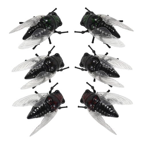 Alipis 6 Stück Teiliges Realistische Zikaden Modelle mit Aufziehfunktion Naturgetreue Insekten-spielzeuge für Eltern-Junge Mädchen-Spiele Lernspielzeug zur Natur Wissenschaftsbildung Alipis 6 Stück Teiliges Realistische Zikaden Modelle mit Aufziehfunktion Naturgetreue Insekten-spielzeuge für Eltern-Junge Mädchen-Spiele Lernspielzeug zur Natur Wissenschaftsbildung von Alipis