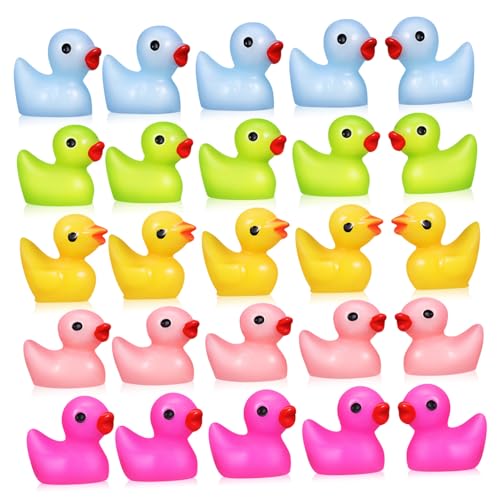 Alipis Miniatur Enten Figuren Bunte Resin Tiere Für Mini Gärten Puppenhäuser Und Dekoration Kleine Enten Pink Und von Alipis