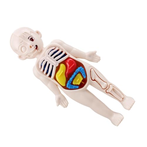 Alipis Puzzle Teiliges Menschliches Körpermodell DIY Lernspielzeug für Pädagogisches Kognitives Hand Auge Koordination Förderndes Unterrichtshilfsmittel Alipis Puzzle Teiliges Menschliches Körpermodell DIY Lernspielzeug für Pädagogisches Kognitives Hand Auge Koordination Förderndes Unterrichtshilfsmittel von Alipis