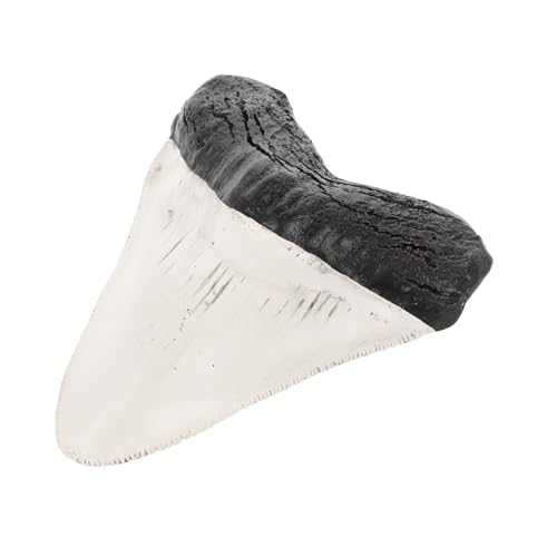 Alipis Realistisches Haifischzahn modell aus Langlebigem Kunststoff Kleine Dekorative Nachbildung für Schreibtisch Sammlung und Bildung Widerstandsfähig und Farbecht Alipis Realistisches Haifischzahn modell aus Langlebigem Kunststoff Kleine Dekorative Nachbildung für Schreibtisch Sammlung und Bildung Widerstandsfähig und Farbecht von Alipis