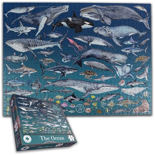 The Ocean Puzzle 1000 Teile – Rachel Brooks – Unterwasserleben-Illustrationen von All Jigsaw Puzzles