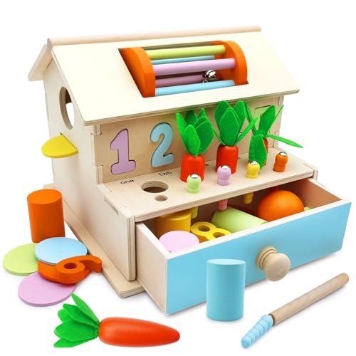 9 in 1 Baby Spielzeug ab 1 Jahr, Montessori Spielzeug für Babys 1 2 3 Jahr, Holzspielzeug Motorikspielzeug ab 12+ Monate Kinder, Sensorik Spielzeug Baby Geschenk Junge Mädchen Geburtstags Weihnachten von Almaxi