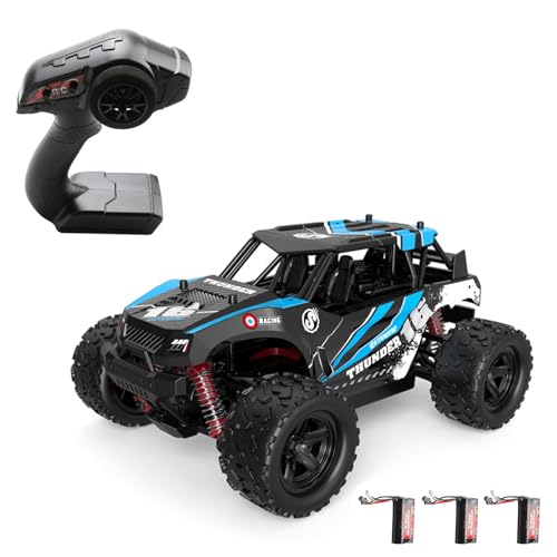 Alomejor 1/18 4WD RC Auto Starker Bürstenmotor Hochgeschwindigkeits-Geländewagen 2,4 GHz Ferngesteuertes Auto für und Erwachsene (3 Batteries) von Alomejor