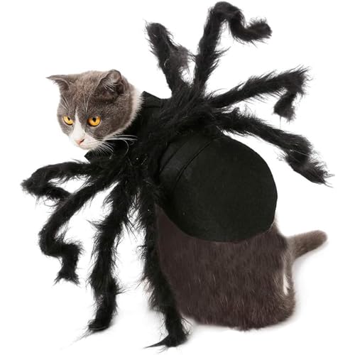 Spinnenkostüm - Halloween-Kostüm für Haustierspinne | Hundespinnen-Halloween-Kostüm | Lustiges realistisches Hunde-Katzen-Cosplay-Outfit | Halloween-Dressing, gruseliges Spinnenkostüm für kleine bis m von Alwida