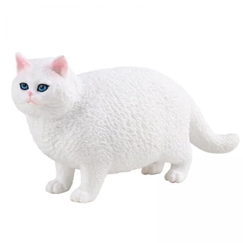 Amagogo 2X Katzenfigur Spielset Simualtion Katzenfigur Miniatur Lernspielzeug Desktop Ornament Tierfigur für Partyspielzeug Gartengeschenk von Amagogo