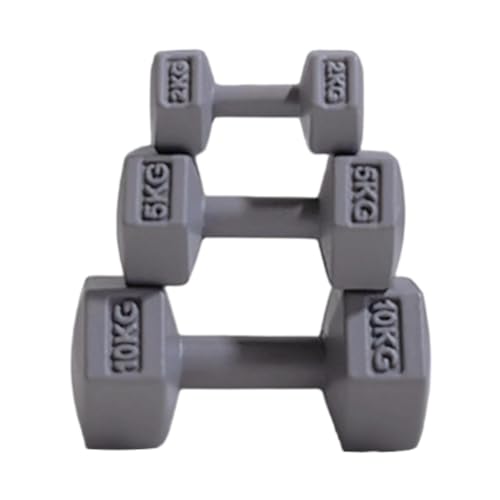 Amagogo 3X Puppenhaus Spielset, Mikro Landschaft Dekor DIY Miniatur Kettle Bell Puppenhaus Gym Langhantel für Alter 3~8, Grau von Amagogo