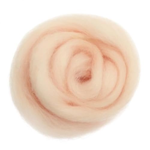 Amagogo 5X 10g Weichfaser Top Roving für DIY Nadelfilzen Nassfilzen Handspinnen von Amagogo