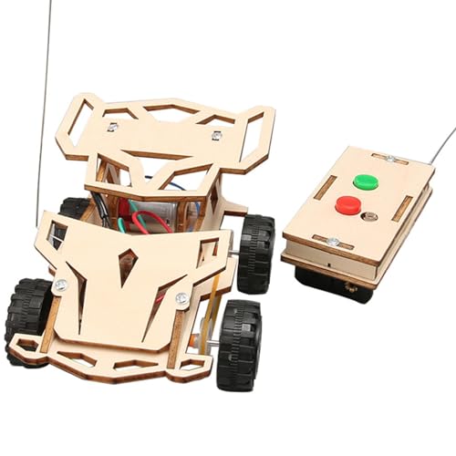 Amagogo DIY Mini Fernbedienung Auto Spielzeug Lernspielzeug Handgefertigte Montage Holz 3D Puzzle Experiment Projekt für Geschenk Jungen und Mädchen von Amagogo