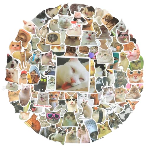 Amaxiu Lustige Vinyl Katzenaufkleber, 100 Stück interessant süße Katzenaufkleber Wasserfeste Aufkleber Wasserflaschen ästhetische Kawaii Kätzchenaufkleber für Katzenliebhaber Scrapbook (100 Stück, A) von Amaxiu