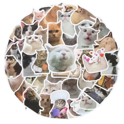 Amaxiu Lustige Vinyl Katzenaufkleber, 50 Stück interessant süße Katzenaufkleber Wasserfeste Aufkleber Wasserflaschen ästhetische Kawaii Kätzchenaufkleber für Katzenliebhaber Scrapbook (50 Stück) von Amaxiu