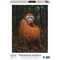 AMBASSADOR 7230786 Erwachsenenpuzzle 1000 Teile Orang-Utan (Donal Boyd) Photographers Collection Instagram von Ambassador