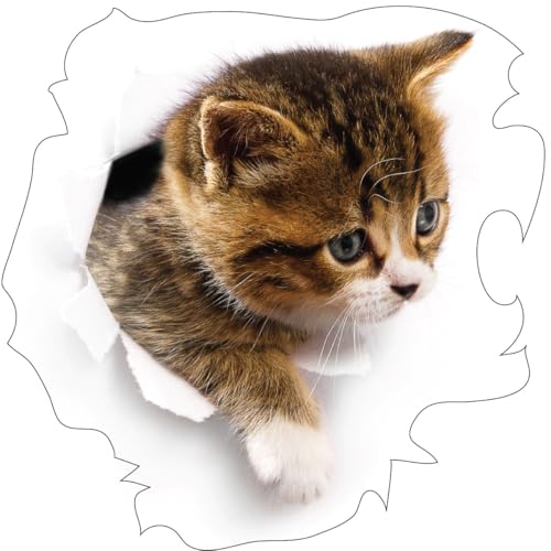 Ambiance Wandtattoo, selbstklebend, für Schlafzimmer, Kinderzimmer und Wohnzimmer, Katze im Versteck, H 35 x B 35 cm Ambiance Wandtattoo, selbstklebend, für Schlafzimmer, Kinderzimmer und Wohnzimmer, Katze im Versteck, H 35 x B 35 cm von Ambiance Stickers