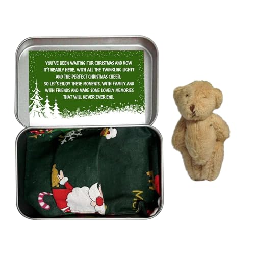 Amesor Taschenbär Kleines Stofftier | Taschenbär-Plüschtier mit Karten und Steppdecken | Winziger Bär in Box Weihnachten, Stoffbär, Taschenbär-Spielzeug mit Karten und Steppdecken für von Amesor